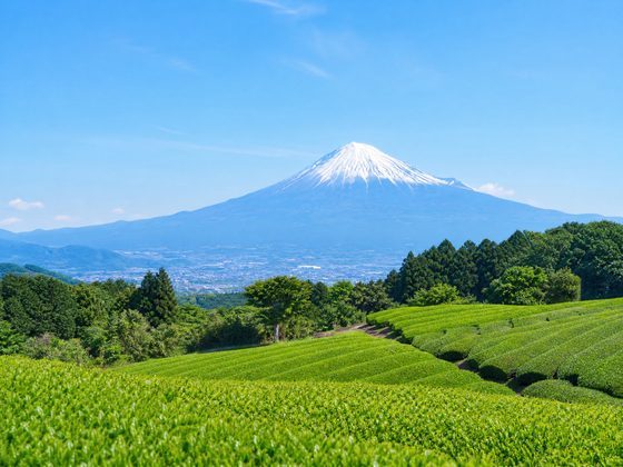 静岡