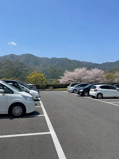 無料駐車場完備