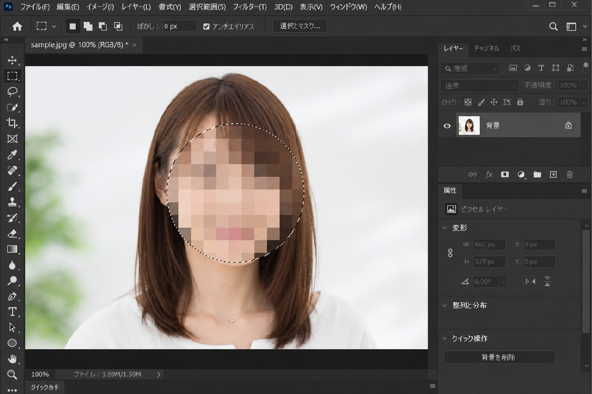 アリバイ会社完備